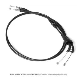 cafe 4 racer Accossato  worldwide shipping