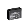 cafe 4 racer - YUASA BATTERY YT4B-BS MF W/ ACID - YUASA  AGM Batteries 4906958000931