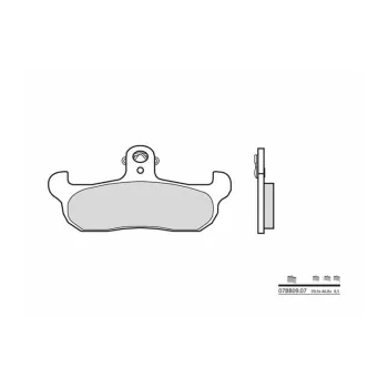 cafe 4 racer - Brake pads for AEON, SYM brand Accossato code AGPA242 - Accossato  Brake pads / shoes 