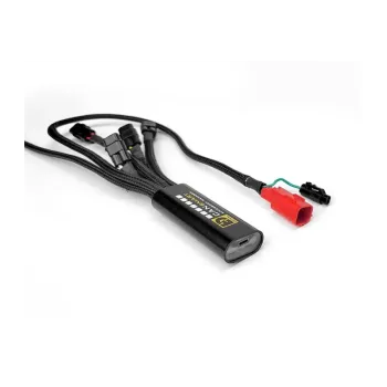 cafe 4 racer - DENALI cansmart kit dl4 yel - DENALI Extra Lights 3070546