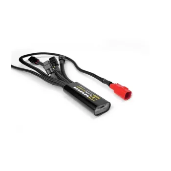 cafe 4 racer - DENALI cansmart kit dl6 yel - DENALI Extra Lights 3070501