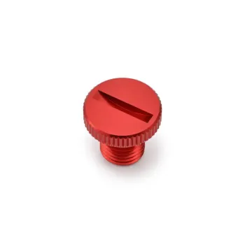 cafe 4 racer Daytona worldwide shipping
