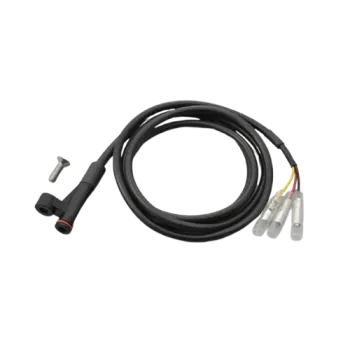 cafe 4 racer Daytona worldwide shipping