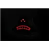 cafe 4 racer - SHIN YO LED tail light for KAWASAKI Z 1000, ZX 10 R - Shin Yo Model Rear lights 4054783253777