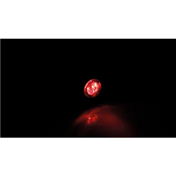 cafe 4 racer - LSL NOVA-PRO LED taillight, brake light, turn signal - LSL 2in1 and 3in1 4054783605286