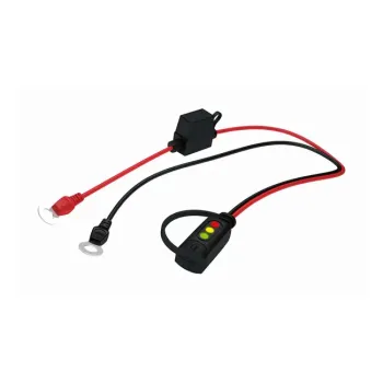 cafe 4 racer CTEK worldwide shipping