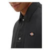 Dickies Oakport trenérská bunda černá