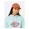 cafe 4 racer - Dickies Hardwick čepice bombajská hnědá - DICKIES Šiltovka 
