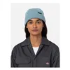 cafe 4 racer - Čiapka Dickies Woodworth trooper - DICKIES Zimné čiapky 