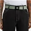 cafe 4 racer - Opasok Dickies Orcutt iceberg green - DICKIES Opasok 