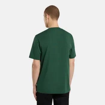 cafe 4 racer - Dickies Ss Mapleton t-shirt pine needle green - DICKIES T-Shirts 