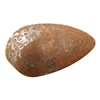 PAUGHCO GASTANK SHELL