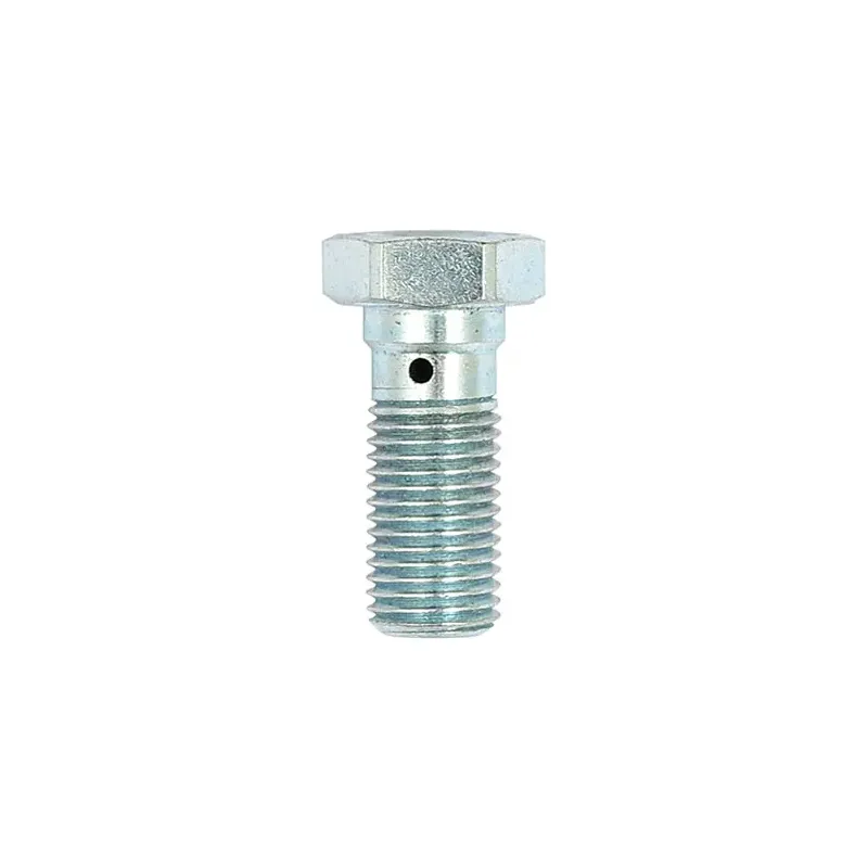 cafe 4 racer - TRW Banjo Bolt stainless steel M10x1.00 - TRW Banjo Bolts & Switches 