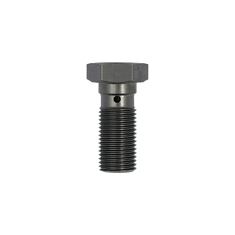 cafe 4 racer - TRW Banjo Bolt titanium anodized M10x1.00 - TRW Banjo Bolts & Switches 