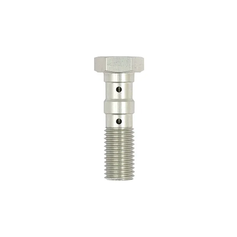 cafe 4 racer - TRW double Banjo Bolt silver anodized M10x1.25 - TRW Banjo Bolts & Switches 