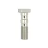 cafe 4 racer - TRW double Banjo Bolt silver anodized M10x1.25 - TRW Banjo Bolts & Switches 