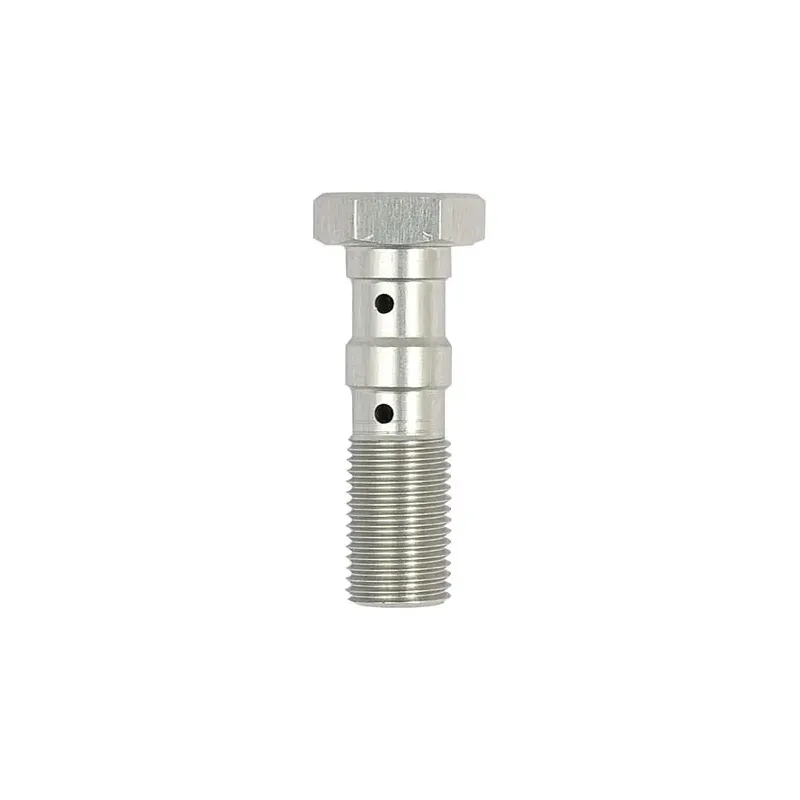 cafe 4 racer - TRW double Banjo Bolt silver anodized M10x1.00 - TRW Banjo Bolts & Switches 