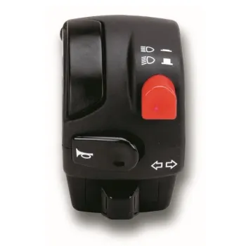 cafe 4 racer Domino & Tommaselli worldwide shipping