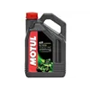 cafe 4 racer - MOTUL 5100 10W30 4L - MOTUL 4T  