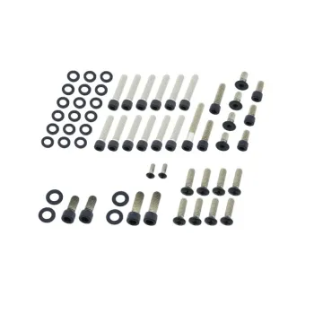 cafe 4 racer - Stainless Steel nut M12 10pcs  - Cafe4Racer Screw nuts sets pins orings 