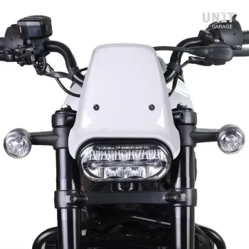 cafe 4 racer Harley-Davidson Sportster S custom bike parts 