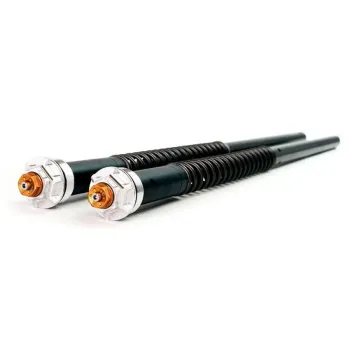cafe 4 racer - Rear suspension Öhlins s46dr1l blackline (standard height) - UNIT GARAGE Suspension and Cooling 