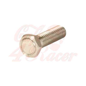 cafe 4 racer - KOSO magnetic screw M8 x 1.25 x L. 29 mm for speedometers with sensor, stainless steel - Koso Sensors & Accessories 4260303011813