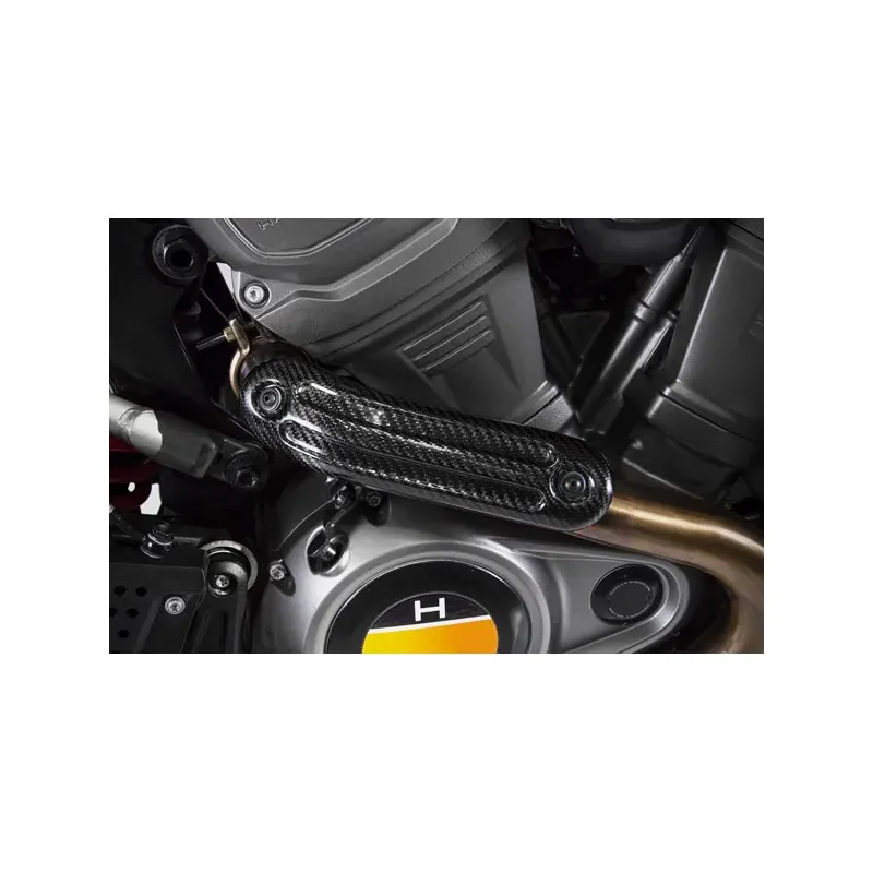 cafe 4 racer - Zard, Pan America slip-on muffler. Matte black - ZARD Exhaust systems 