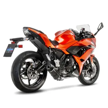 cafe 4 racer - LEOVINCE "LV ONE EVO" SUZUKI GSX-S 750/Z ABS 17-20 CARBON FIBER SLIP-ON EURO4 - LeoVince LeoVince 8051122155347