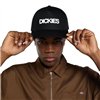 Dickies Torrey snapback čierna šiltovka