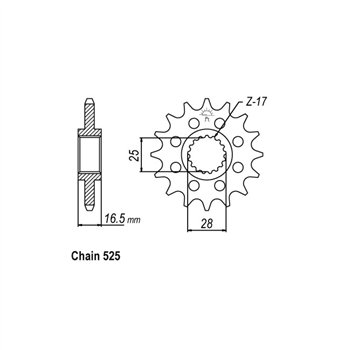 JT Front Sprocket 1904.17
