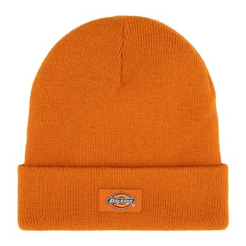 cafe 4 racer - Dickies Gibsland čiapka jeseň javor - DICKIES Zimné čiapky 