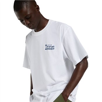 Dickies Vernal t-shirt white