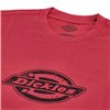 Dickies Plainville t-shirt garnet