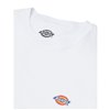 Dickies Mapleton dámske tričko biele