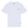 cafe 4 racer - Dickies Mapleton t-shirt white - DICKIES T-Shirts 