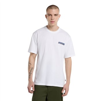 Dickies Lakeridge tričko biele
