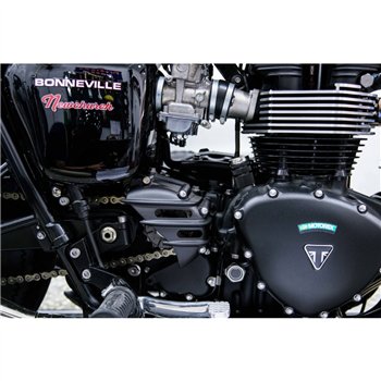 Speedster Sprocket Cover - Ribbed - Black - AC