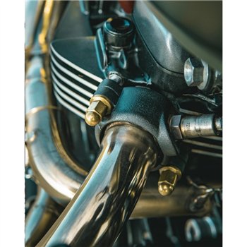cafe 4 racer - Magnum Force - Brass Exhaust Clamp Nuts - Motone Triumph Bonneville 