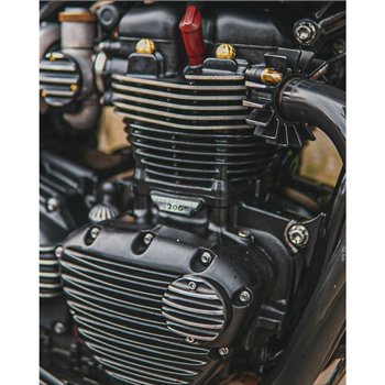 cafe 4 racer - Magnum Force - Brass Exhaust Clamp Nuts - Motone Triumph Bonneville 