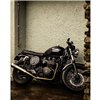 cafe 4 racer - High-Tail Mudguard - Predrilled for Motone Fender Mount Light Kits - Brushed- AC - Motone Triumph Bonneville 