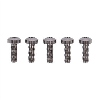 cafe 4 racer - Screws4Bikes BS.HD.1.T.na Sada šroubů na přední brzdové kotouče Titan Leštěný – HD 90-25 - Screw4bikes Šrouby & sety 