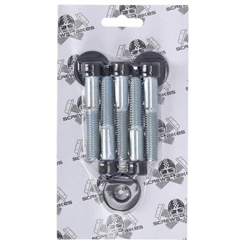 cafe 4 racer Screw4bikes worldwide shipping
