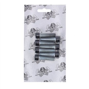 cafe 4 racer Screw4bikes worldwide shipping