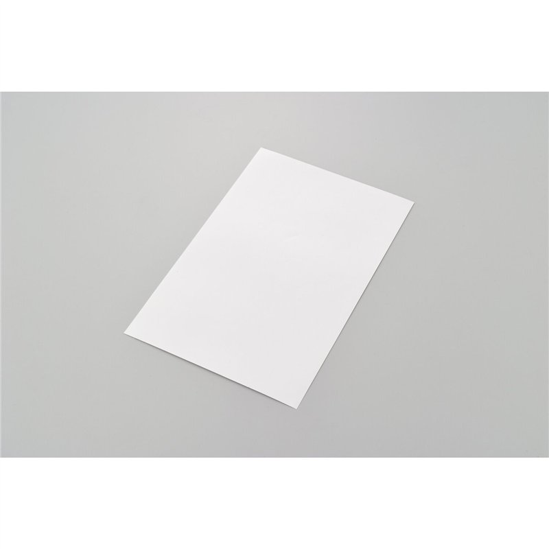 cafe 4 racer - MCS Protection sticker Clear – Universal - MCS Stickers 