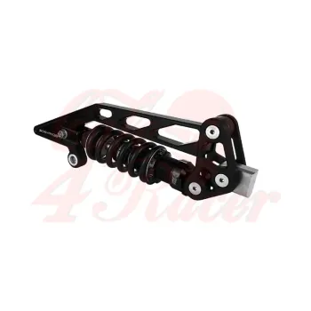 cafe 4 racer - SideWinder Meaccanica M-kit BMW Monolever - YSS R-monolever SideWinder 