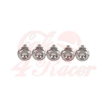 cafe 4 racer - Wheel bolts set BMW K75 / K100 - silver rear - Cafe4Racer Bolts set 