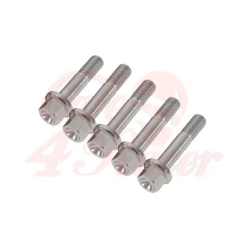 cafe 4 racer - Wheel bolts set BMW K75 / K100 - silver rear - Cafe4Racer Bolts set 