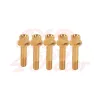 cafe 4 racer - Wheel bolts set BMW K75 / K100 - gold rear - Cafe4Racer Bolts set 