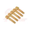 cafe 4 racer - Wheel bolts set BMW K75 / K100 - gold rear - Cafe4Racer Bolts set 